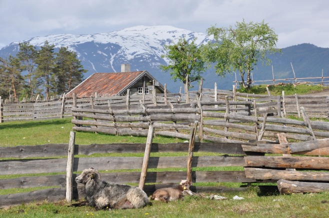 Nasjonalt Museumsnettverk For Kulturlandskap